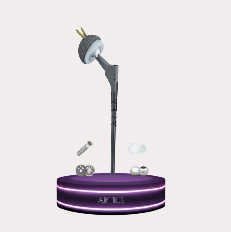 Revision Hip Replacement